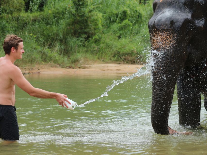 Khao Lak: Elephant Bathing and Turtle Center Visit - Who should book this Khao Lak animal experience?