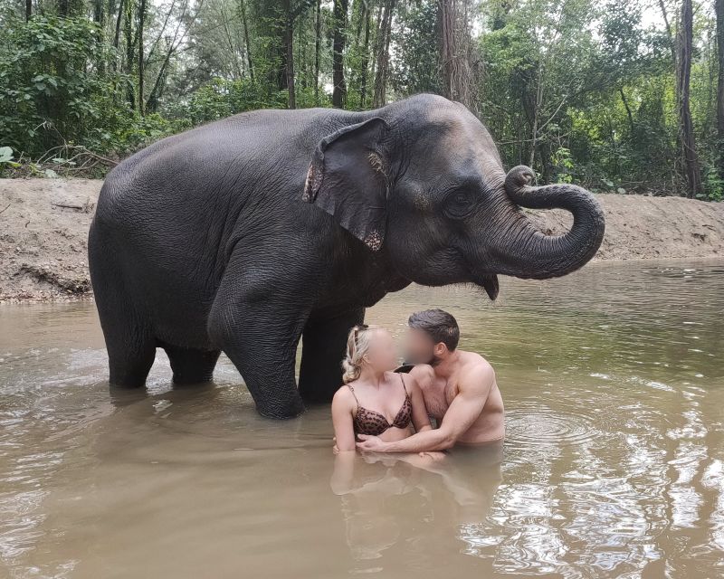 Khao Lak: Elephant Bathing and Turtle Center Visit - Should you book it?