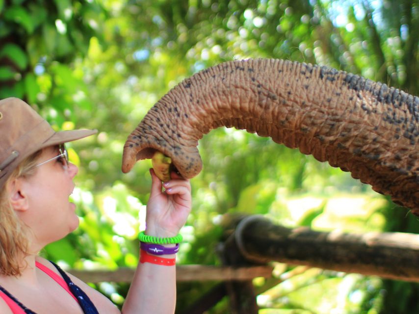 Khao Lak: Elephant Bathing and Turtle Center Visit - FAQ