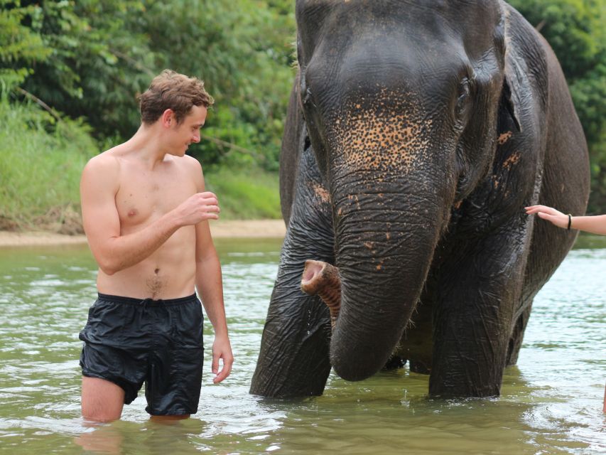 Khao Lak: Elephant Bathing and Turtle Center Visit - What ethical care means here