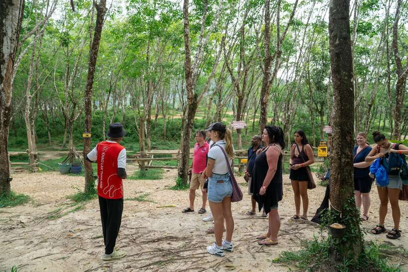 Khao Lak Guided Nature Walk & Elephant Experience - Transport from Khao Lak or Phuket