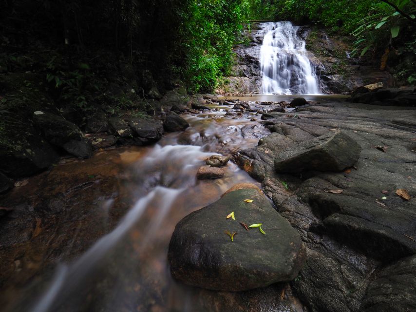 Khao Lak: Little Amazon Canoe Ride & Tam Nang Waterfall Tour - A compact trip into Khao Lak’s wild side
