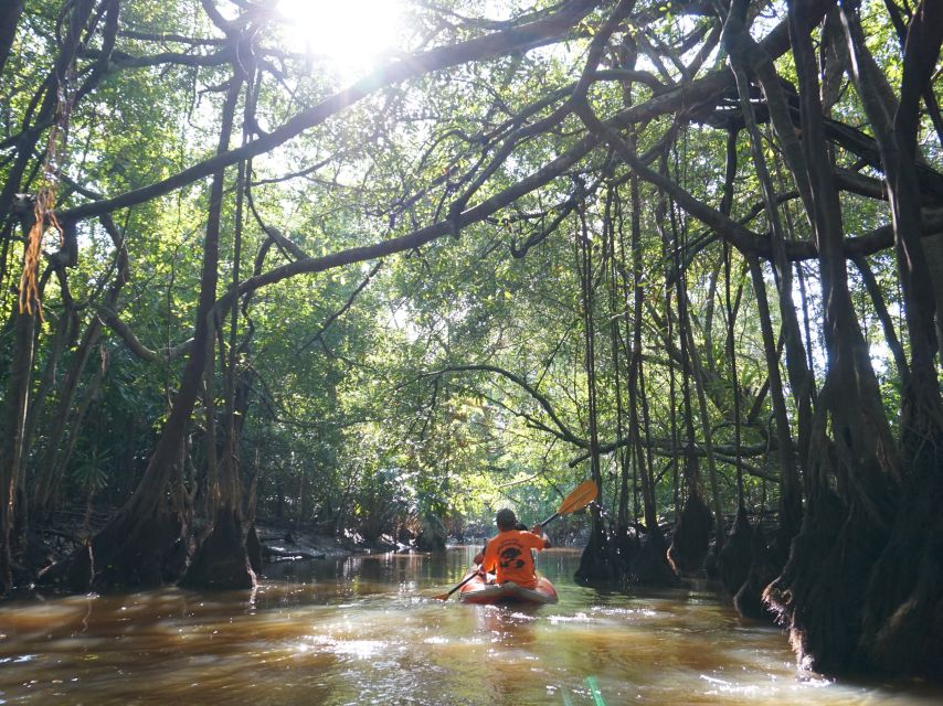 Khao Lak: Little Amazon Canoe Ride & Tam Nang Waterfall Tour - Guides, drivers, and the human side of the trip