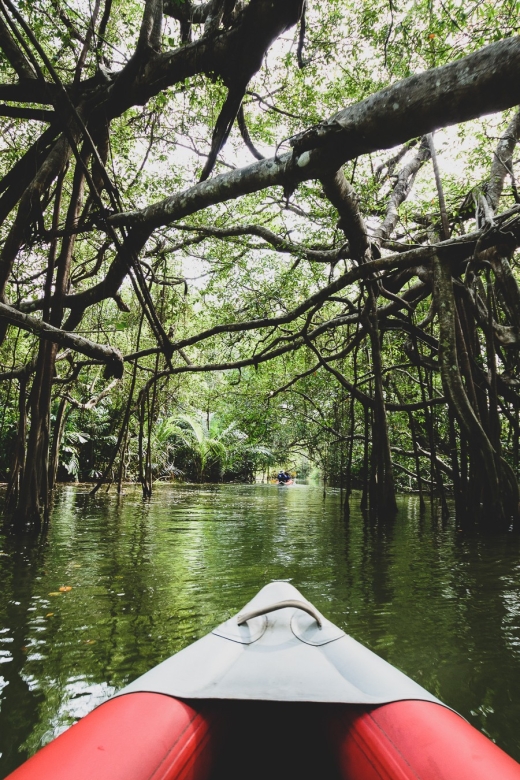 Khao Lak: Little Amazon Canoe Ride & Tam Nang Waterfall Tour - Is the $61 price fair?