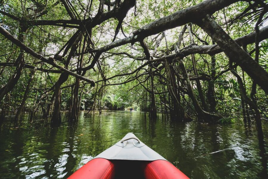 Khao Lak: Little Amazon Canoe Ride & Tam Nang Waterfall Tour - Who should book this Khao Lak tour?