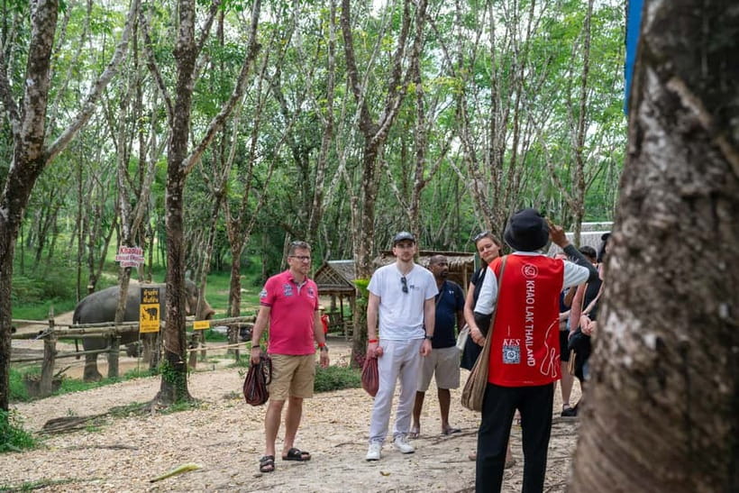 Khao Lak’s Best: Elephant Sanctuary,Rubber Tapping&Waterfall - A short tour with a useful format