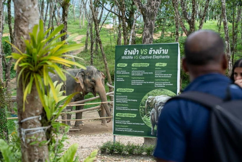 Khao Lak’s Best: Elephant Sanctuary,Rubber Tapping&Waterfall - Practical advice before you go