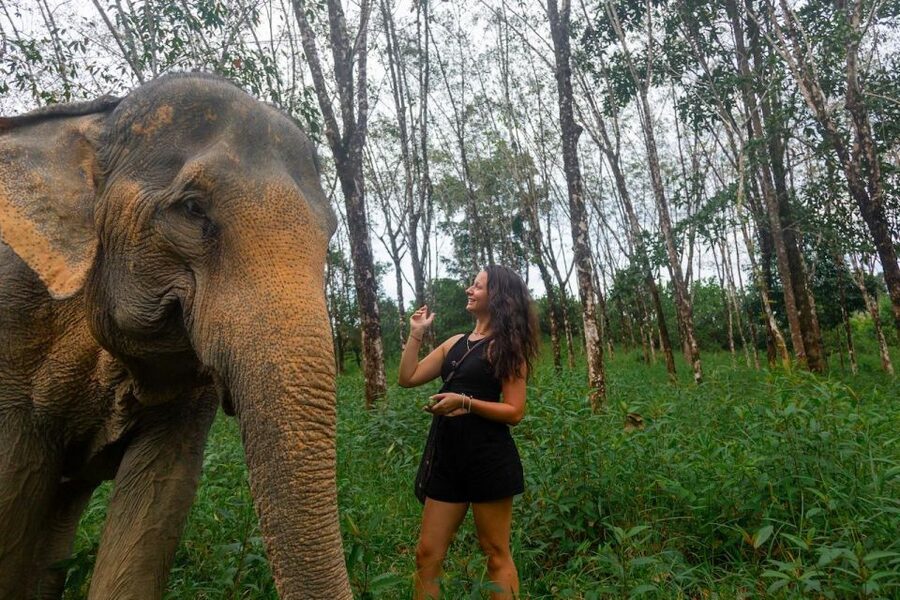 Khao Lak: Waterfall,Sea Turtle,Elephant Care,Meal & Transfer - Quick points to know