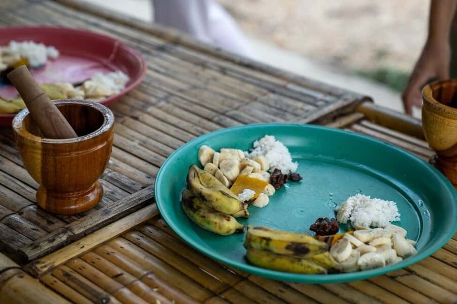 Khao Lak: Waterfall,Sea Turtle,Elephant Care,Meal & Transfer - Who should book this tour?