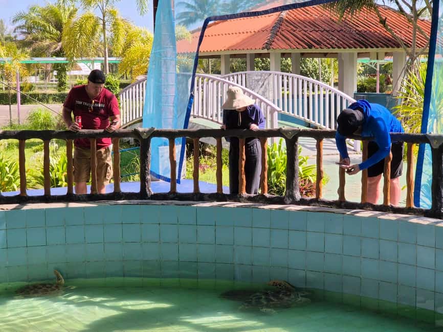Khao Lak: Waterfall,Sea Turtle,Elephant Care,Meal & Transfer - Why this half-day trip works well