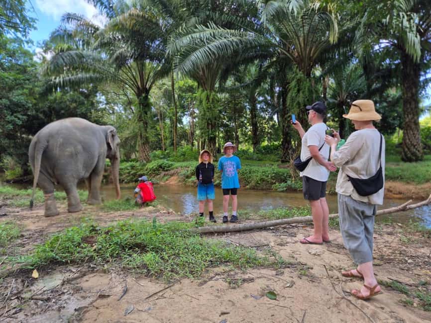 Khao Lak: Waterfall,Sea Turtle,Elephant Care,Meal & Transfer - Sai Rung Waterfall: a quick jungle swim