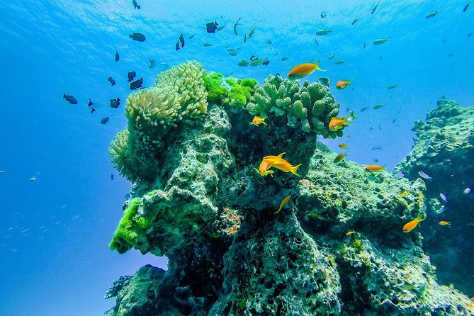 Khao Lak: Wow Andaman Snorkeling Trip to Similan Islands - Koh Payu and the first serious snorkeling stop