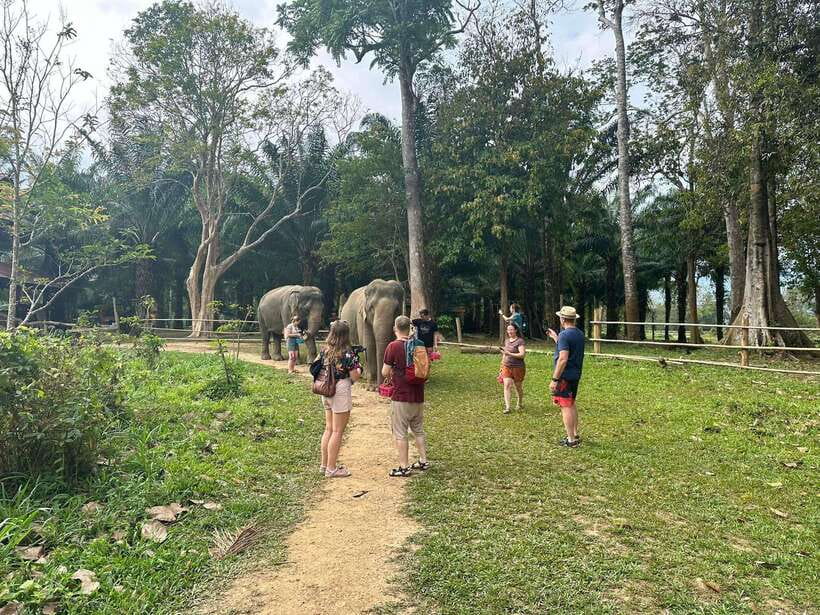 Khao Sok: Ethical Elephant Experience & Nature Walk - Who will enjoy this sanctuary visit?