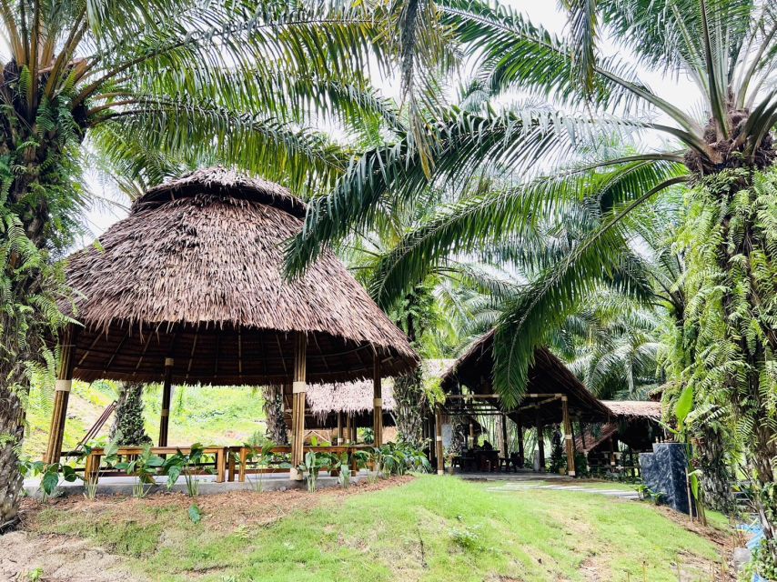 Khao Sok: Ethical Elephant Sanctuary Visit - Key points to know before you book