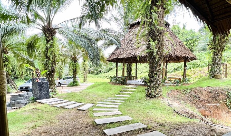 Khao Sok: Ethical Elephant Sanctuary Visit - Practical tips for a better visit