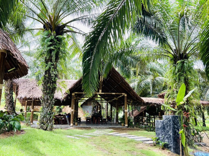 Khao Sok: Ethical Elephant Sanctuary Visit - A two-hour visit built around care, not tricks