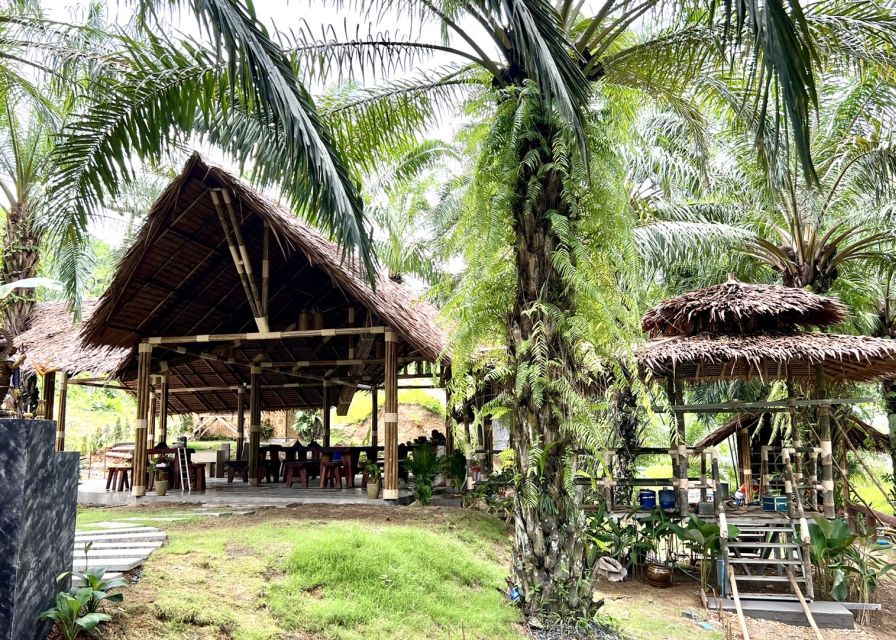 Khao Sok: Ethical Elephant Sanctuary Visit - Who should choose this elephant experience?