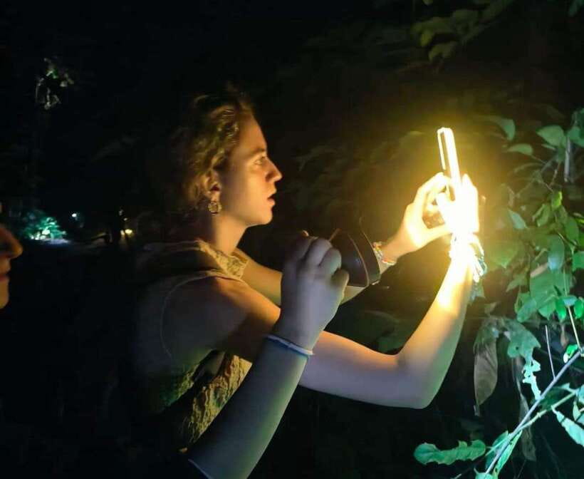 Khao Sok: Private Night Safari Adventure w/ Hotel Transfer - The 150-minute evening plan