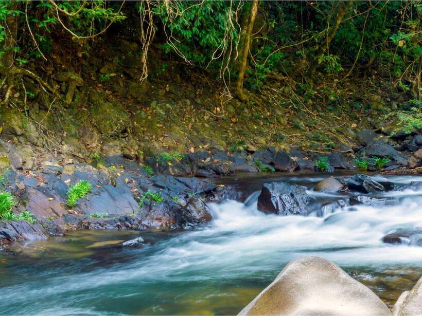 Khao Sok: Private Waterfalls and Wildlife Half-Day Trek - Bang Hua Raet and Wing Hin waterfalls