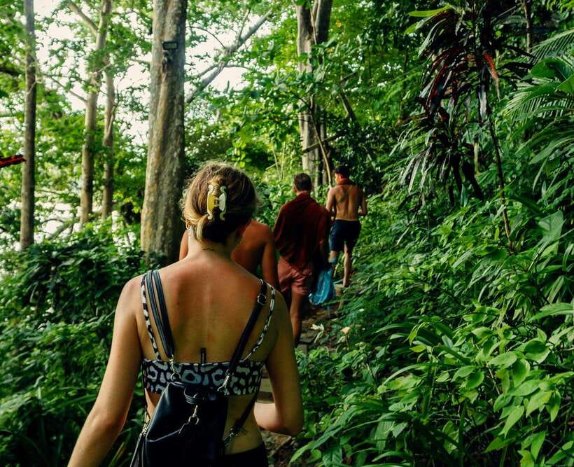 Khao Sok: Private Waterfalls and Wildlife Half-Day Trek - Starting with hotel pickup and a short park introduction