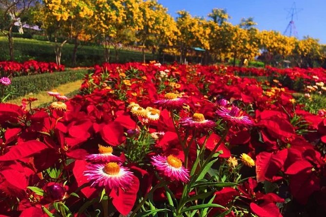 Khao Yai national Park day tour from Bangkok - Haew Suwat and Haew Narok Waterfalls