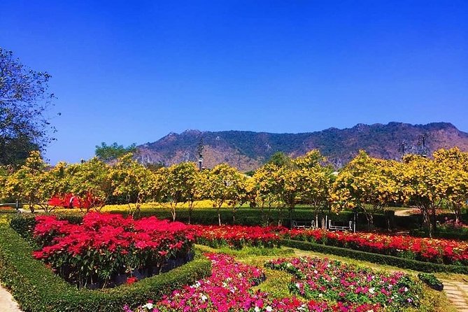 Khao Yai national Park day tour from Bangkok - Is $81.38 a Fair Price?