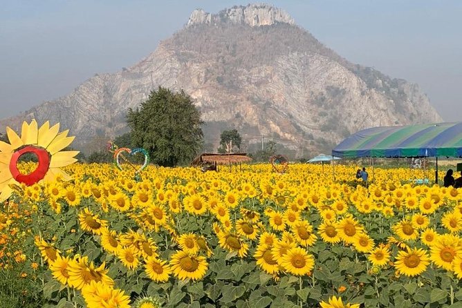 Khao Yai national Park day tour from Bangkok - The Chocolate Factory Question
