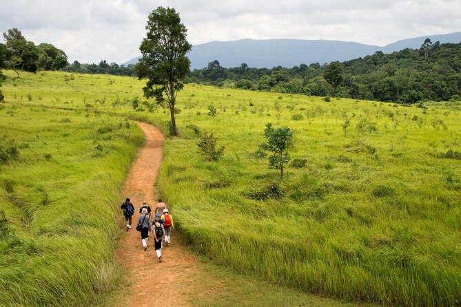 Khao Yai National Park Full Day - Starting at National Stadium BTS Station