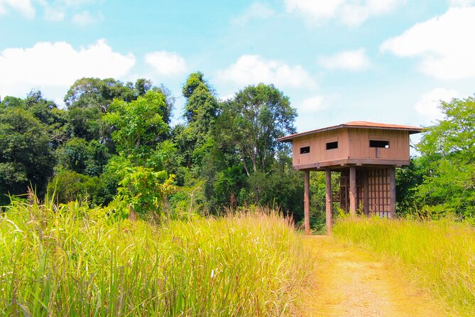 Khao Yai National Park Full Day - Haew Suwat Waterfall and the seasonal catch