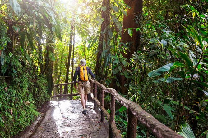 Khao Yai National Park Full-Day From Bangkok - Including Ticket - Walking the 3 to 4 kilometer forest trail