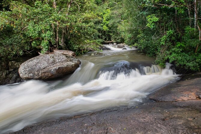 Khao Yai National Park Full-Day From Bangkok - Including Ticket - Wildlife: what you might actually see
