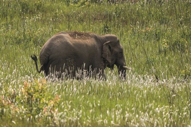Khao Yai National Park Full-Day From Bangkok - Including Ticket - The Bangkok departure and the long road north