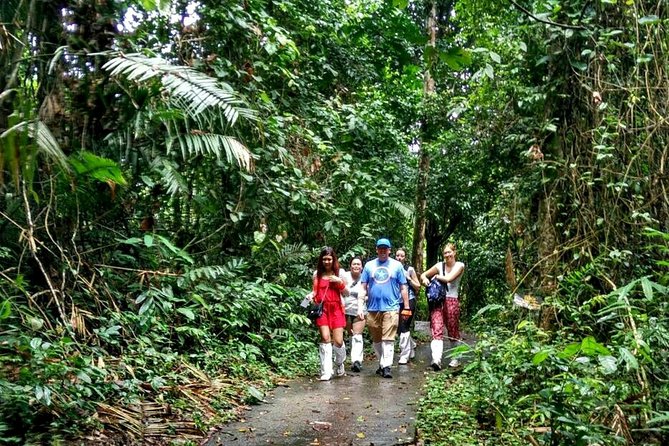 Khao Yai National Park Hiking Day Tour: Haew Narok and Haew Suwat - Sai Sorn Reservoir, a short wildlife pause