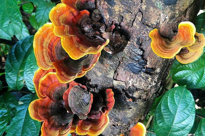 Khao Yai National Park Hiking Day Tour: Haew Narok and Haew Suwat - Lunch, the visitor center, and understanding the park