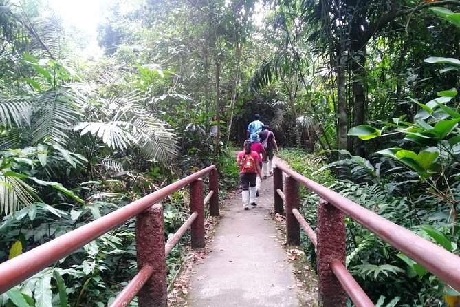 Khao Yai National Park Hiking Day Tour: Haew Narok and Haew Suwat - KM 30 viewpoint and the trip back to Bangkok