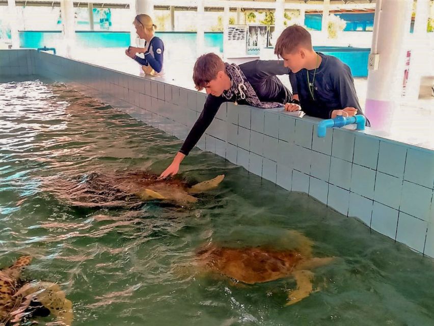 Khaolak: Bamboo Rafting, Waterfalls, and Turtle Conservation - Who should book this Khao Lak tour?