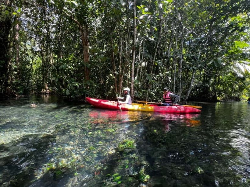 Klong Rud Kayaking with Hotel Transfer - Key points to know before you book
