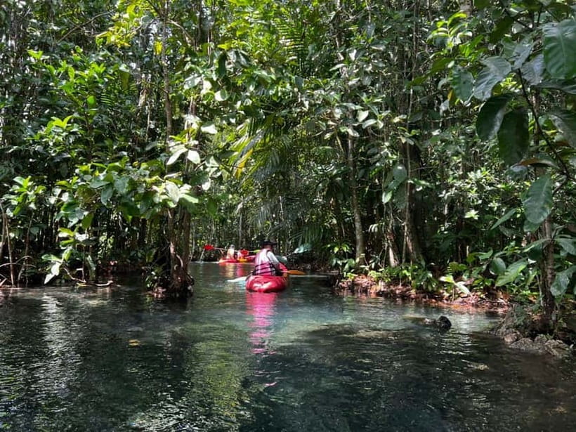 Klong Rud Kayaking with Hotel Transfer - What the Klong Rud kayaking trip is really like