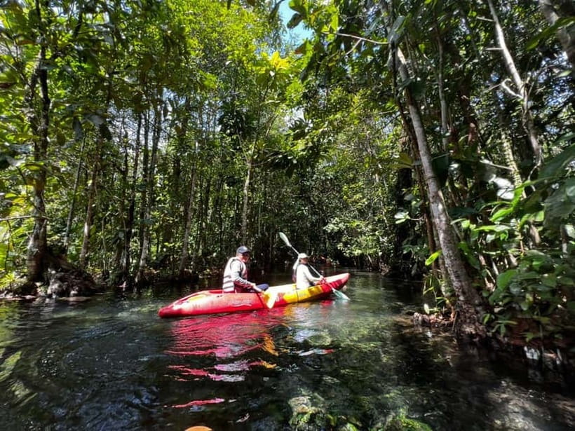 Klong Rud Kayaking with Hotel Transfer - Starting at Klongroot Viewpoint Pier