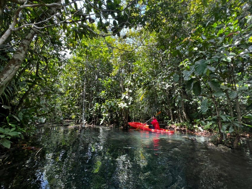 Klong Rud Kayaking with Hotel Transfer - Paddling through forest beside Klong Nam Sai