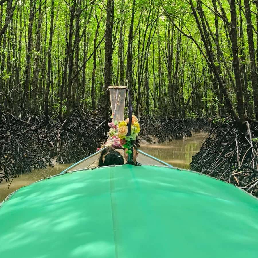 Ko Lanta: EXPLORE MANGROVE TOUR BY LONGTAIL BOAT WITH LUNCH - A quiet morning among Ko Lanta’s mangroves