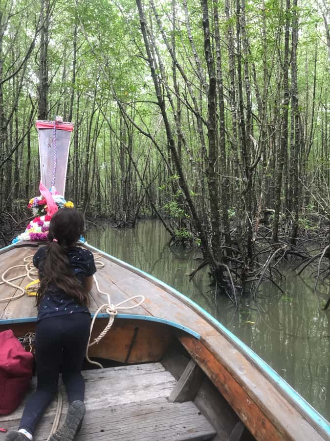 Ko Lanta: EXPLORE MANGROVE TOUR BY LONGTAIL BOAT WITH LUNCH - Watching monkeys from the boat