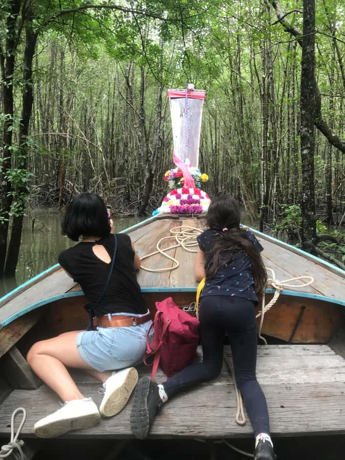 Ko Lanta: EXPLORE MANGROVE TOUR BY LONGTAIL BOAT WITH LUNCH - Who will enjoy this Ko Lanta tour most