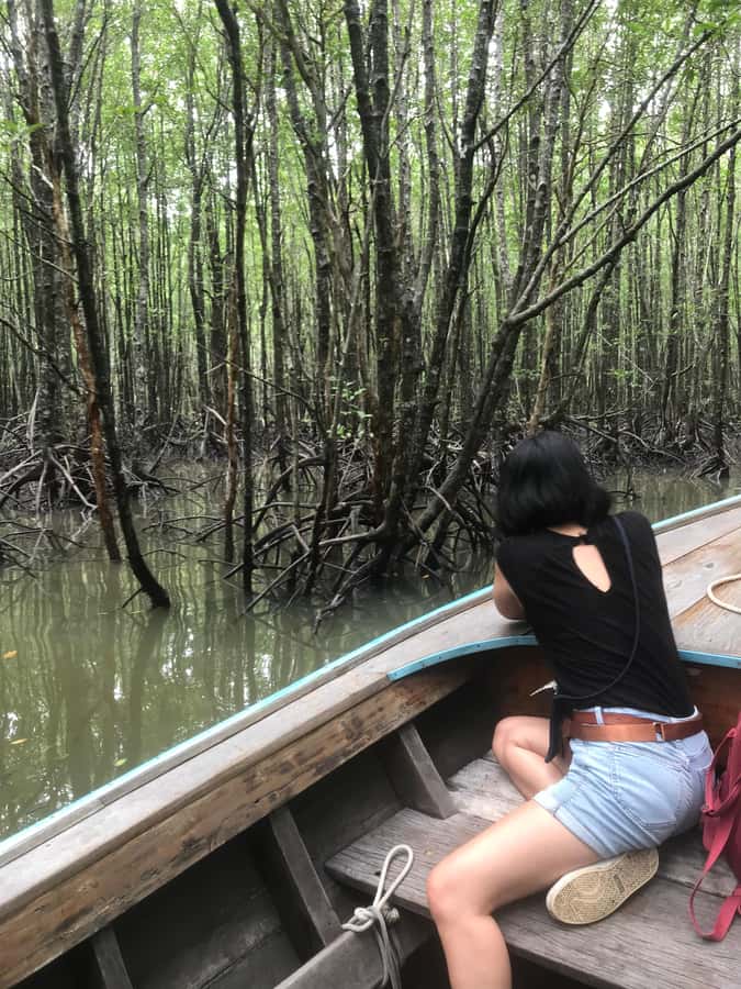 Ko Lanta: EXPLORE MANGROVE TOUR BY LONGTAIL BOAT WITH LUNCH - My call: a good-value nature break with one clear caveat