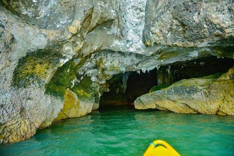 Ko Lanta: Full-Day Mangrove and Sea Cave Kayaking Experience - What the $49 price really includes