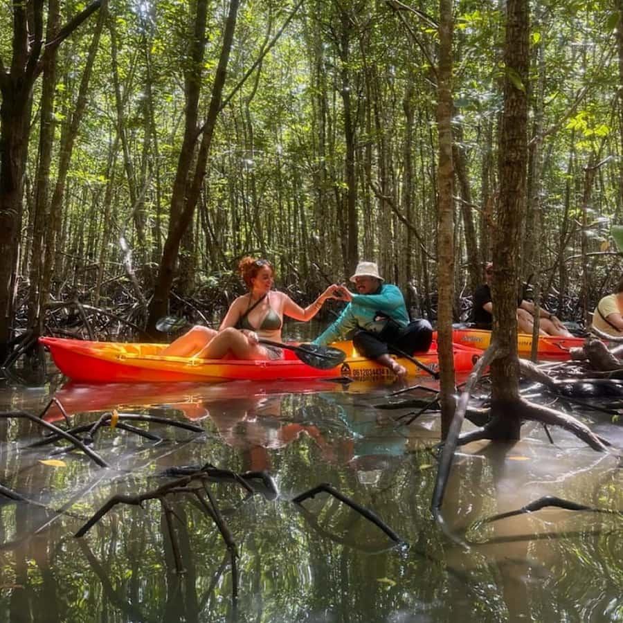 Ko Lanta: HALF DAY EXPLORE MANGROVE KAYAKING TOUR AND LUNCH - Key points before you book