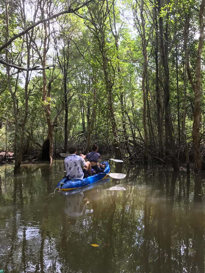 Ko Lanta: HALF DAY EXPLORE MANGROVE KAYAKING TOUR AND LUNCH - Seeing village and fishing life from the water