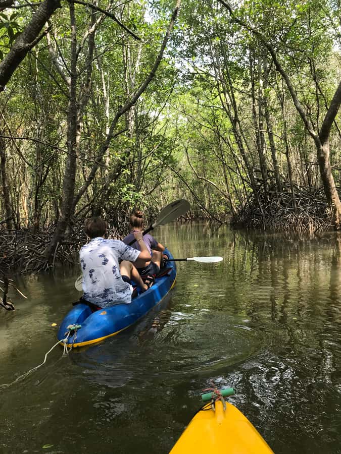 Ko Lanta: HALF DAY EXPLORE MANGROVE KAYAKING TOUR AND LUNCH - The fish farm and lunch stop