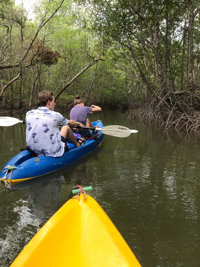 Ko Lanta: HALF DAY EXPLORE MANGROVE KAYAKING TOUR AND LUNCH - From your resort to Tung Yee Peng Pier