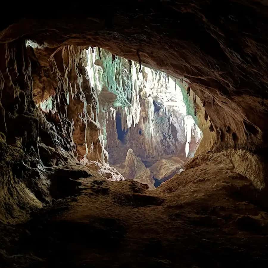Ko Lanta: Half-Day Kayaking Koh Phee & Koh Talabeng 2 Caves - What the $31 price really covers